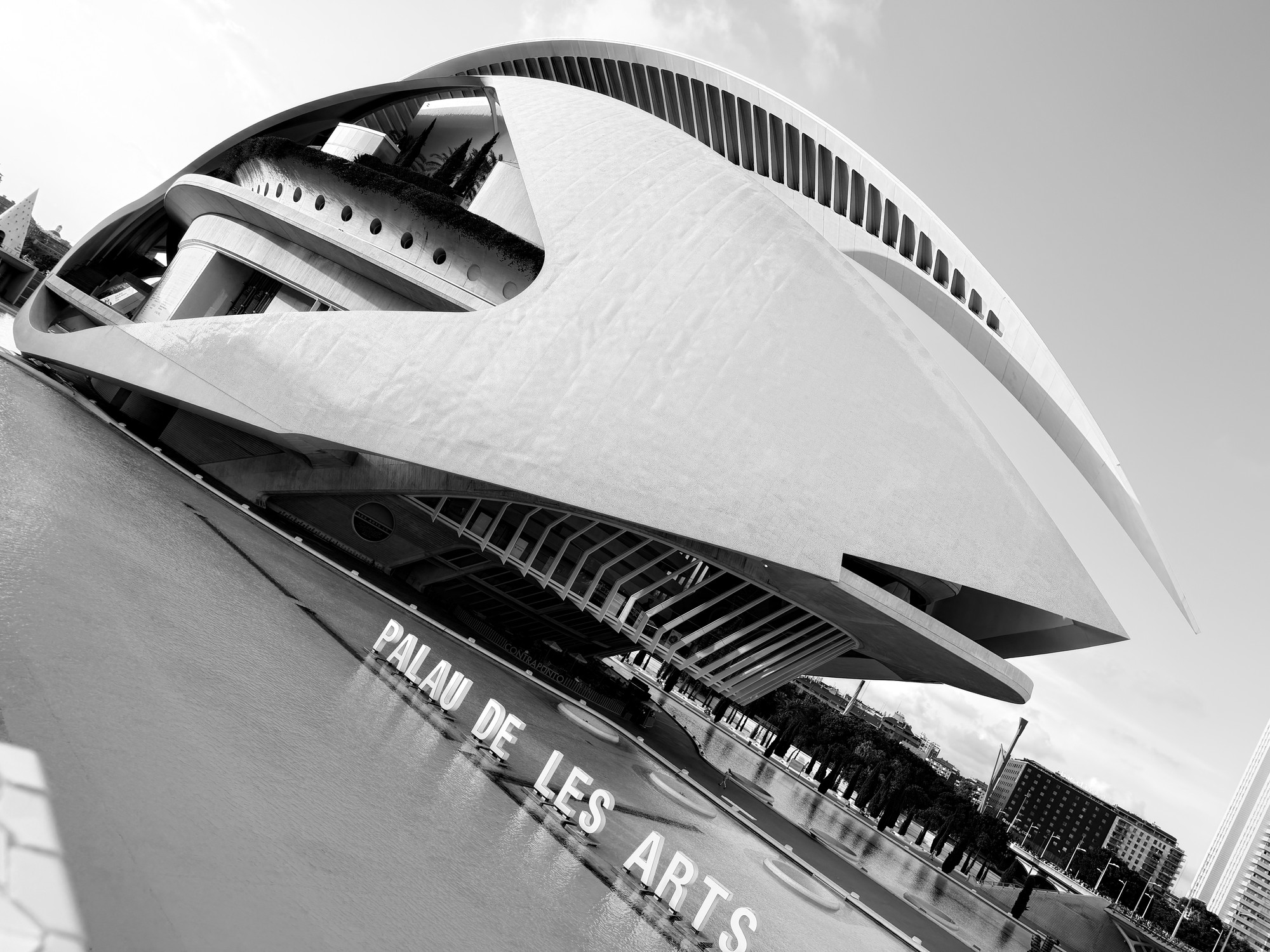 Palau de les Arts Reina Sofía, Valencia